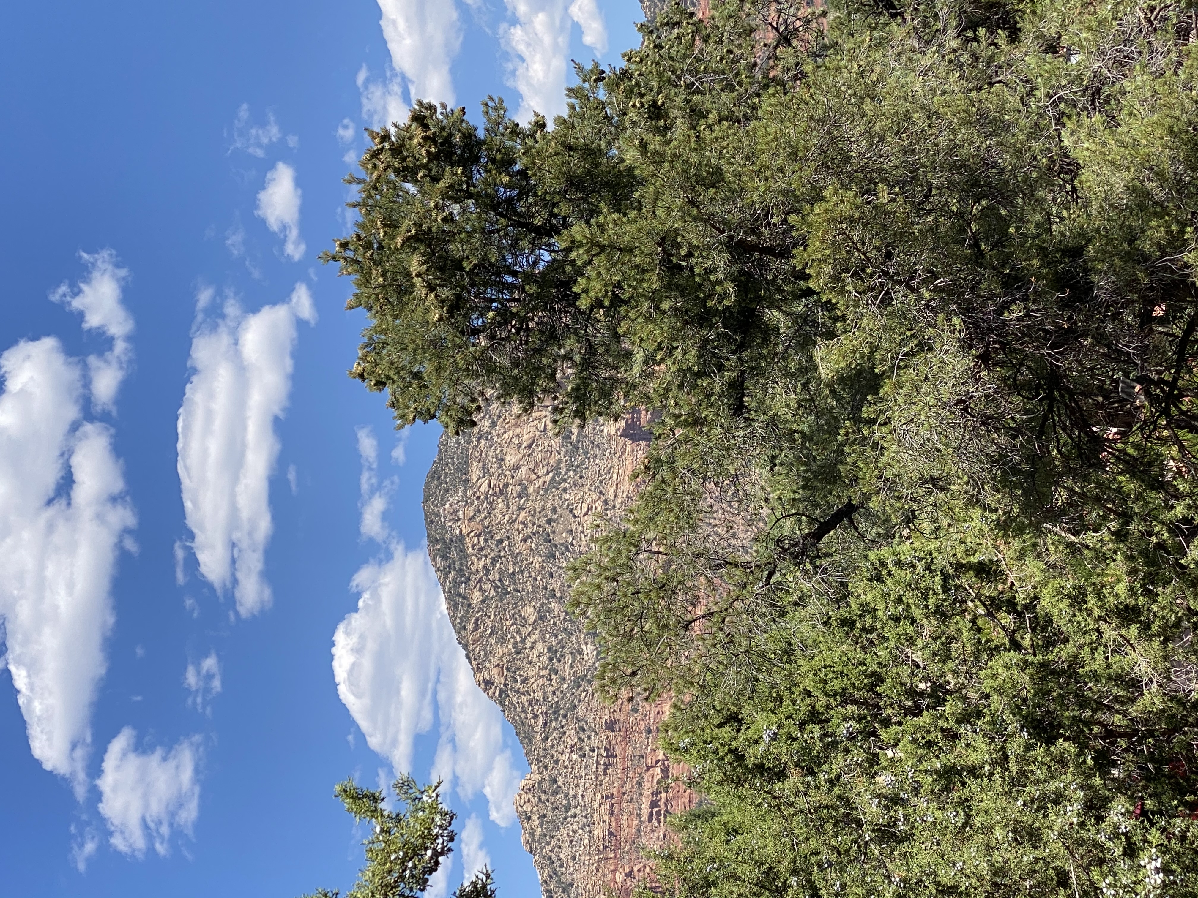 Family-friendly red rock trail in Sedona with stunning desert scenery
