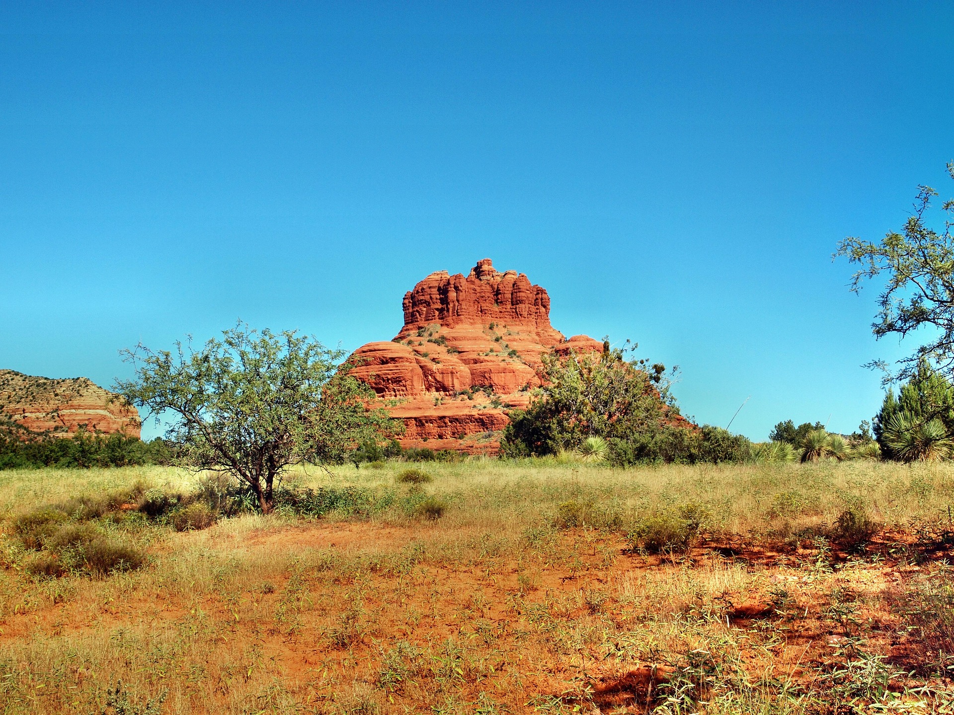 Bell Rock desert landscape in Sedona summer